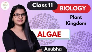 Class 11  Algae Plant Kingdom  NCERT [upl. by Perri]