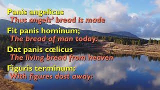 Panis Angelicus Bread of Angels with lyrics [upl. by Slater]