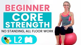 BEGINNER CORE  15 Minute STABILITY BALL Workout for BEGINNERS [upl. by Nevag]