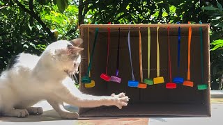 DIY BRINQUEDO para GATO com CAIXA de PAPELÃO [upl. by Eula854]