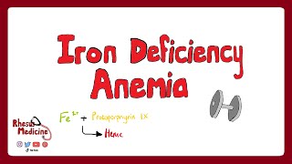 IRON DEFICIENCY ANEMIA Causes Clinical Features Pathophysiology Diagnosis Treatment  Rhesus [upl. by Eidderf]