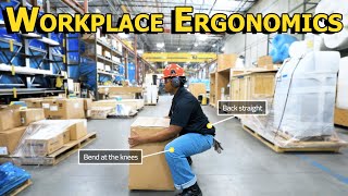 Workplace Ergonomics [upl. by Woolcott159]