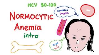 Normocytic Anemia Intro [upl. by Aihsekel]