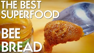 WHAT IS BEE BREAD AND WHY ITS ONE OF THE MOST POWERFUL SUPERFOODS  PRIMAL EATS [upl. by Thgirw190]