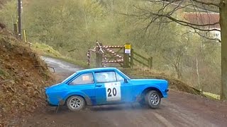 RIPONIAN RALLY 2015 [upl. by Mitchel]