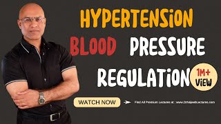 Hypertension  Blood Pressure Regulation  Hypotension [upl. by Kooima408]