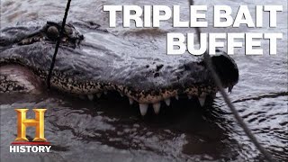 Swamp People 6 Types of Gator Bait Lure in MASSIVE Gators  History [upl. by Atnamas]