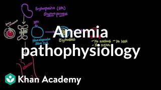 Anemia pathophysiology  Hematologic System Diseases  NCLEXRN  Khan Academy [upl. by Niasuh]