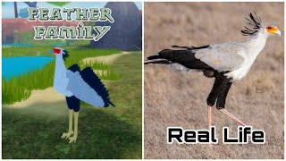 Feather Family In Real Life 4 [upl. by Enaed]