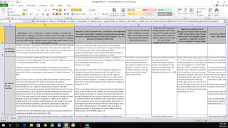 How to Create a Literature Matrix Excel [upl. by Dorelia892]