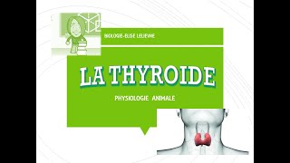 THYROÏDE  5 symptômes ignorés [upl. by Nevetse]