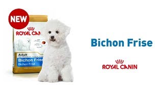 The Bichon Frise  Royal Canin Breed Health Nutrition [upl. by Doran]