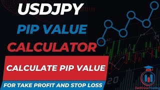 USDJPY Pip Calculator  Calculate Pip Value in USD [upl. by Germann]