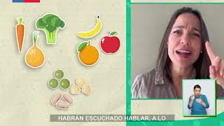 AprendoTV  Ciencias Naturales 3° y 4° básico Capítulo 20 [upl. by Petracca]