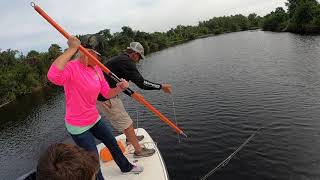 Gator Hunting in Florida [upl. by Annabal]