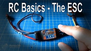 RC Basics  Understanding Electronic Speed Controllers ESC [upl. by Raimes]