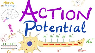 Action Potential  Most COMPREHENSIVE Explanation  Nerve Physiology [upl. by Nesrac606]