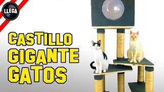 CÓMO HACER UN CASTILLO o GIMNASIO PARA GATOS GIGANTE [upl. by Marlen]