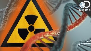 How Radiation Changes Your DNA [upl. by Amena]