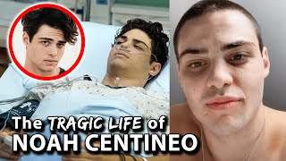 The Dark Truth About Noah Centineo [upl. by Magas243]