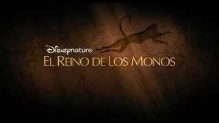 El Reino de los Monos Tráiler Oficial [upl. by Melamie]