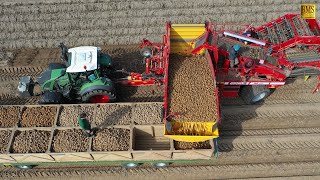 Kartoffelernte in Niedersachsen  Einblick in den Betriebsablauf Potato harvest in Germany 4K farmer [upl. by Jump]