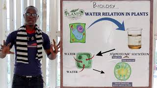 What is Osmosis  Part 1  Cell  Infinity Learn [upl. by Santini10]