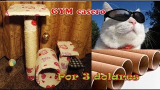 como hacer gimnasio rascador para gatos CASERO  con material reciclado [upl. by Ayaros196]