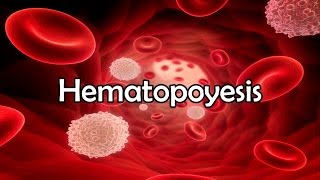 Hematopoyesis [upl. by Groscr]