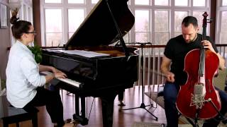 Ellie Goulding  Love Me Like You Do Cover CelloPiano  Brooklyn Duo [upl. by Dolley632]