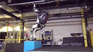 🔴 Kampfroboter kann Rückwärtssalto  humanoid robot boston dynamics [upl. by Bluhm]