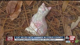 Cat beaten to death with hammer [upl. by Fromma]