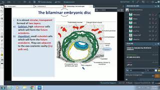 Events of 2nd Week of Pregnancy  Formation of Placenta  Dr Ahmed Farid [upl. by Diskin]