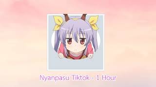 Nyanpasu remix  1 Hour [upl. by Varin]