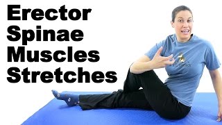 Erector Spinae Muscles Stretches  Ask Doctor Jo [upl. by Gildus23]