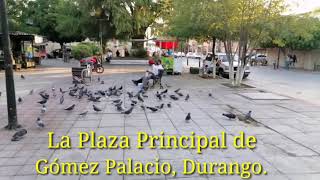 Recorriendo la Plaza principal de Gómez Palacio Durango [upl. by Cassi]