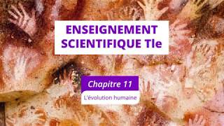 L’évolution humaine Enseignement scientifique Tle [upl. by Rasecoiluj991]