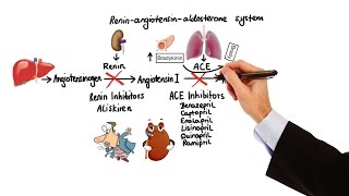 Pharmacology  HYPERTENSION amp ANTIHYPERTENSIVES MADE EASY [upl. by Steele240]