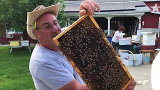 How to Start Beekeeping in New Jersey  Gentle NJ Bees [upl. by Nnire]