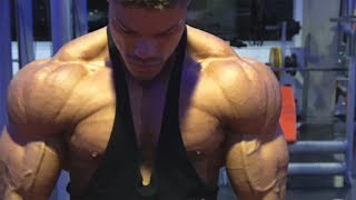 DELTOID Workout for BIG FULL Shoulders  Wes amp Wes [upl. by Aneleiram]