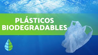 ¿Qué son los PLÁSTICOS BIODEGRADABLES [upl. by Araek293]