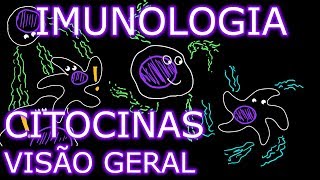 Aula Imunologia  Citocinas 13  Visão Geral  Imunologia 9 [upl. by Ostler]