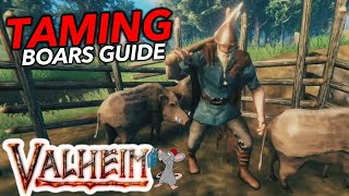 Unlimited leather Scraps How To Tame Boars In Valheim Quick Guide [upl. by Laverna]