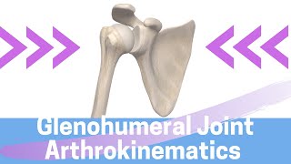 Shoulder Kinesiology Glenohumeral Joint Movement [upl. by Stelu]