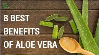 8 Best Benefits Of Aloe Vera  Organic Facts [upl. by Millur]