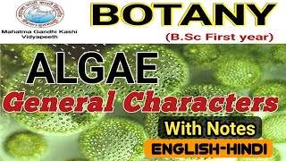 General Characteristics of AlgaeAlgae General FeaturesBSc 1st year [upl. by Gelman543]