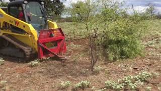 Skid Steer with GRUB N GRADE grubber attachment [upl. by Itsa]