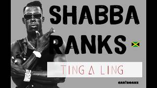 Shabba Ranks  Ting A Ling Dancehall Lyrics provided by Cariboake The Official Karaoke Event [upl. by Demetra]