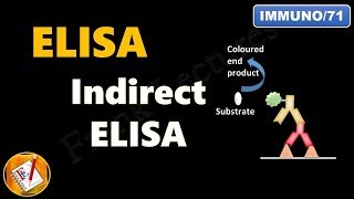 Indirect ELISA FLImmuno71 [upl. by Kryska]