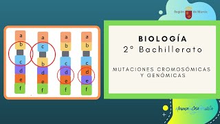 MUTACIONES CROMOSÓMICAS Y GENÓMICAS [upl. by Nytsirc]